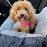 Washable Dog Car Seat For Small Dogs