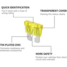 Load image into Gallery viewer, 300Pcs Car Fuse Assortment Kit, 160 Mini Blade Fuses Automotive + 90 Standard Auto Fuses + 50 Micro Fuse + 1 Puller