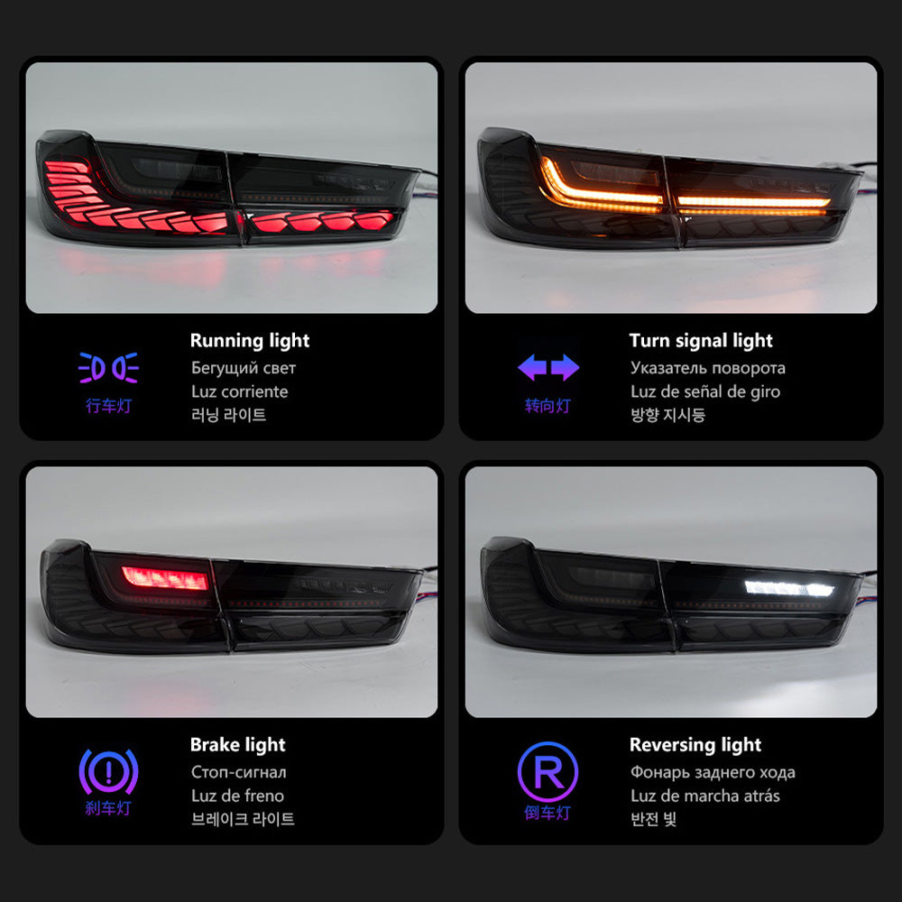 BMW 3 Series G20 LED Tail Lights (2019–2025) – Dragon Scale Design